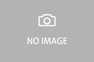 【クリックで詳細表示】Gibson / Hummingbird Alpine White 【Limited Edition 2018】【S/N 12837027】【SALE2019】【渋谷Gibsonセール】【渋谷店】
